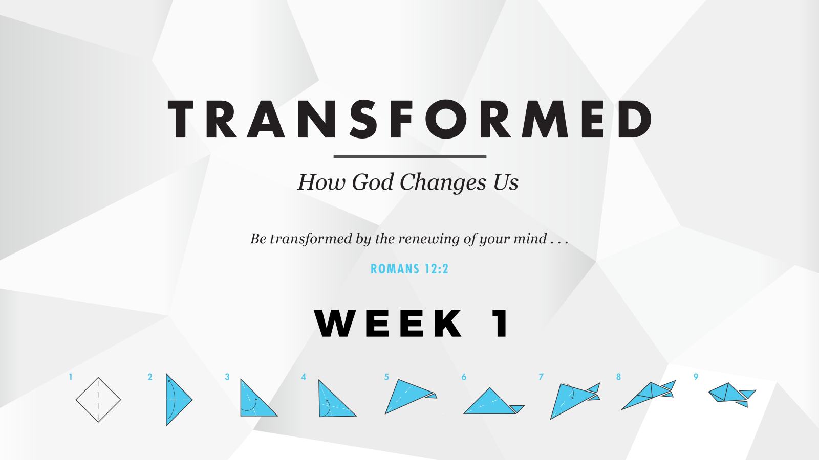 Transformed – Week 1