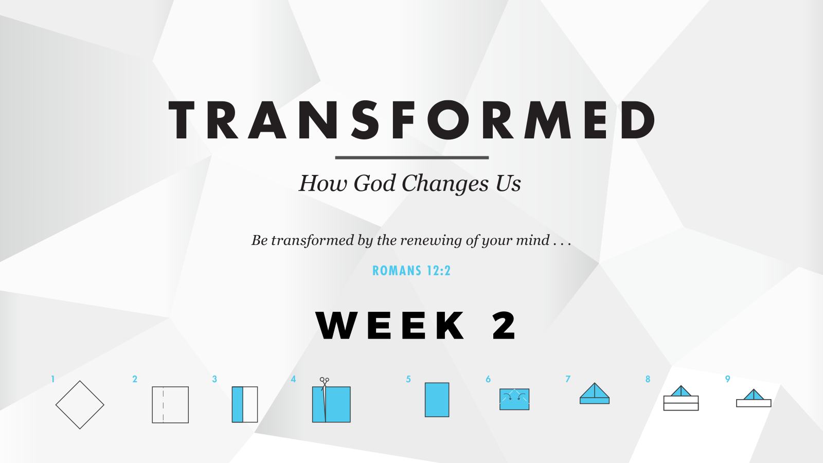 Transformed – Week 2