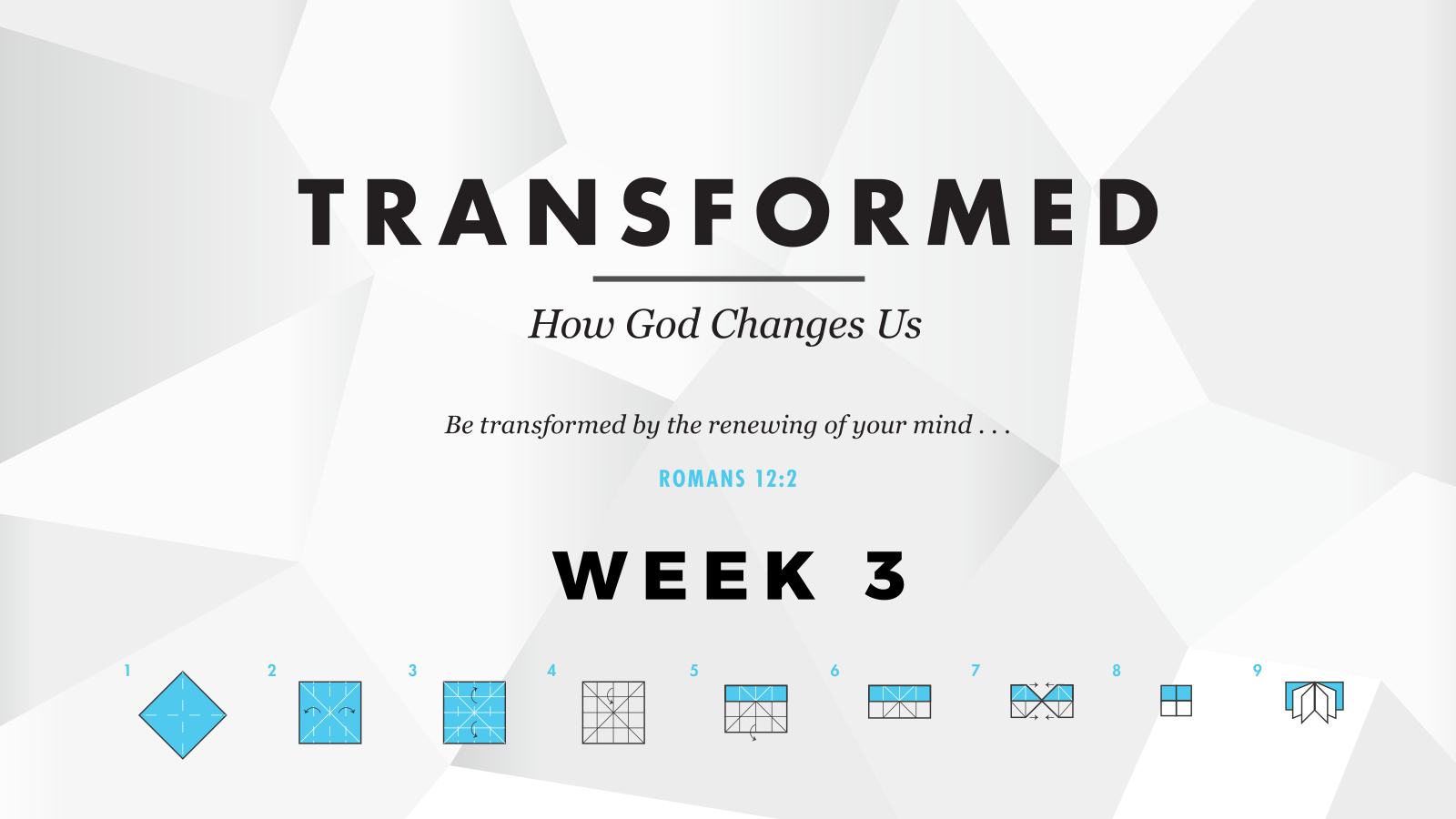 Transformed – Week 3