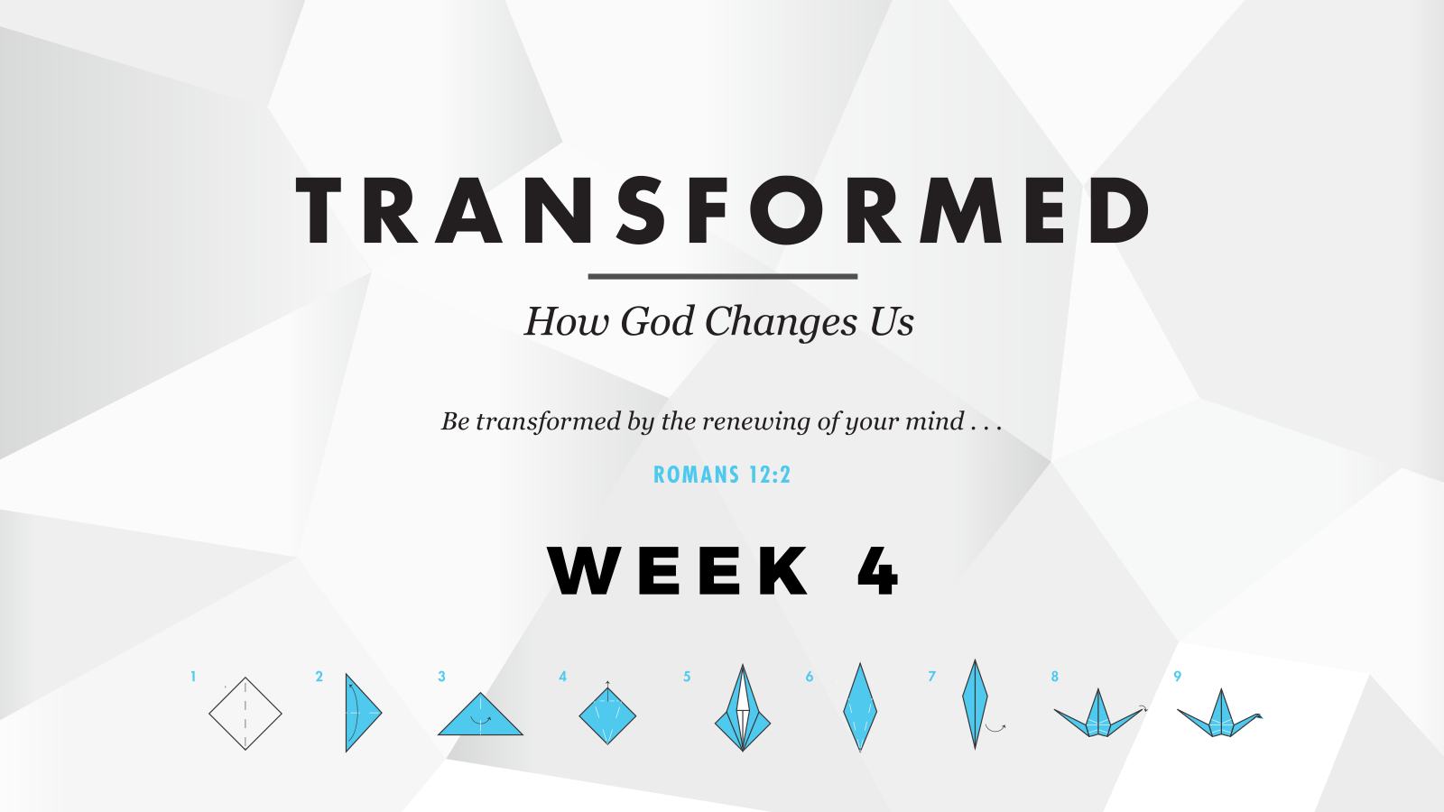 Transformed – Week 4