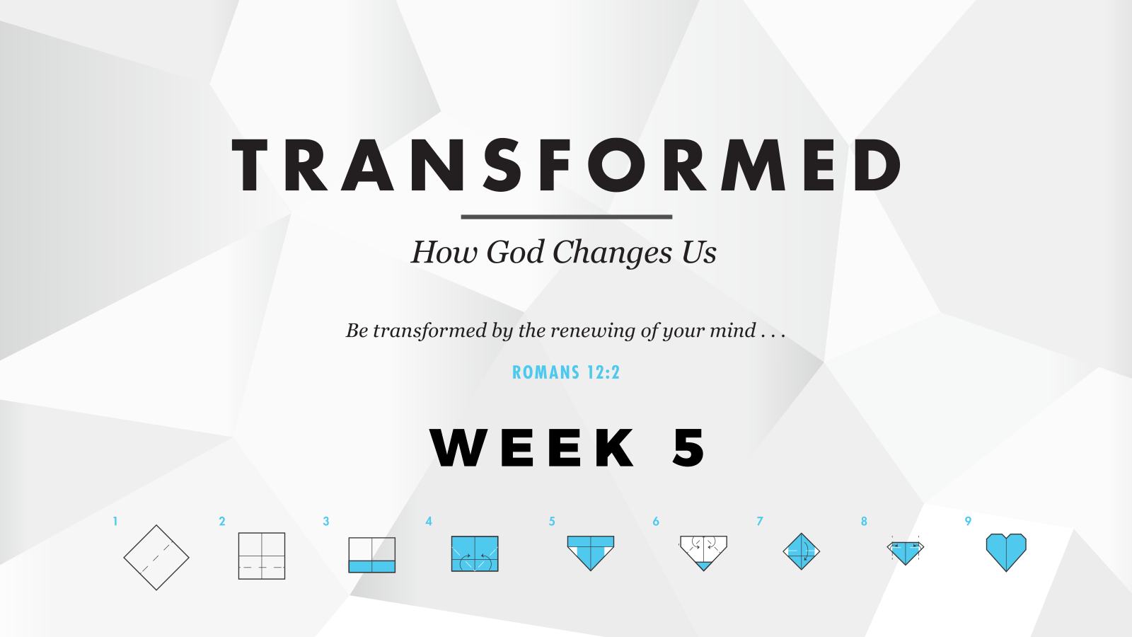 Transformed – Week 5