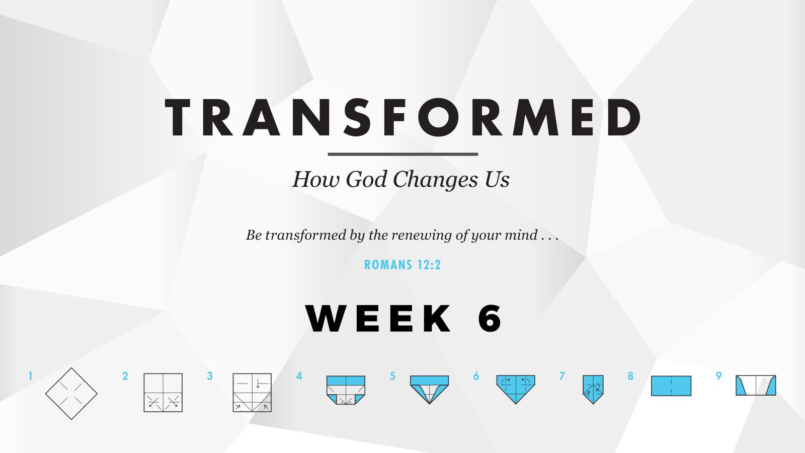 Transformed – Week 6