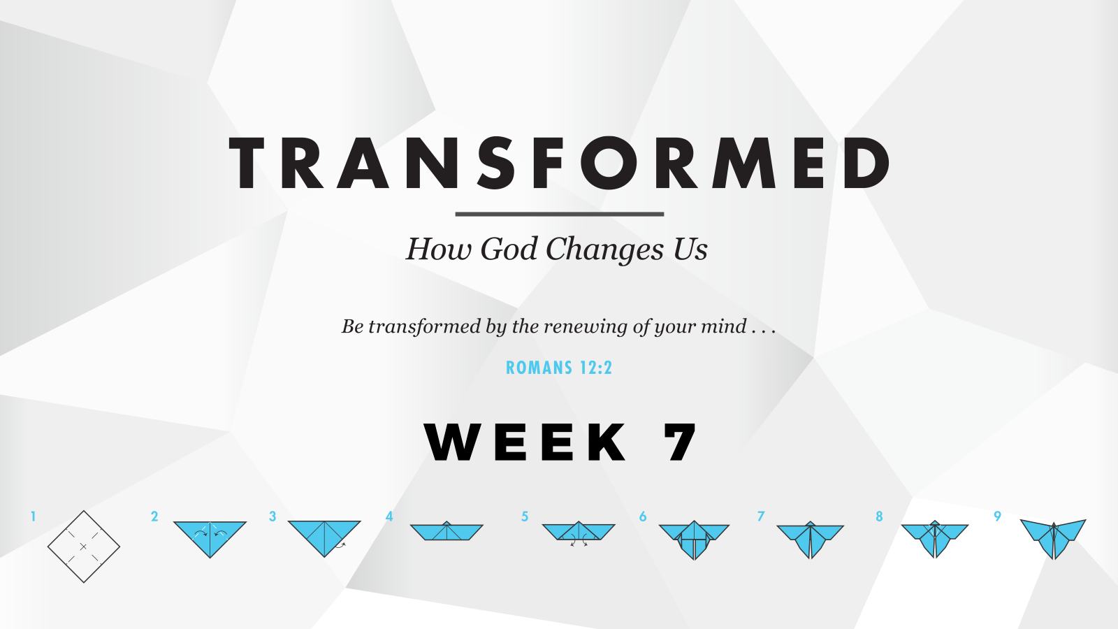 Transformed – Week 7