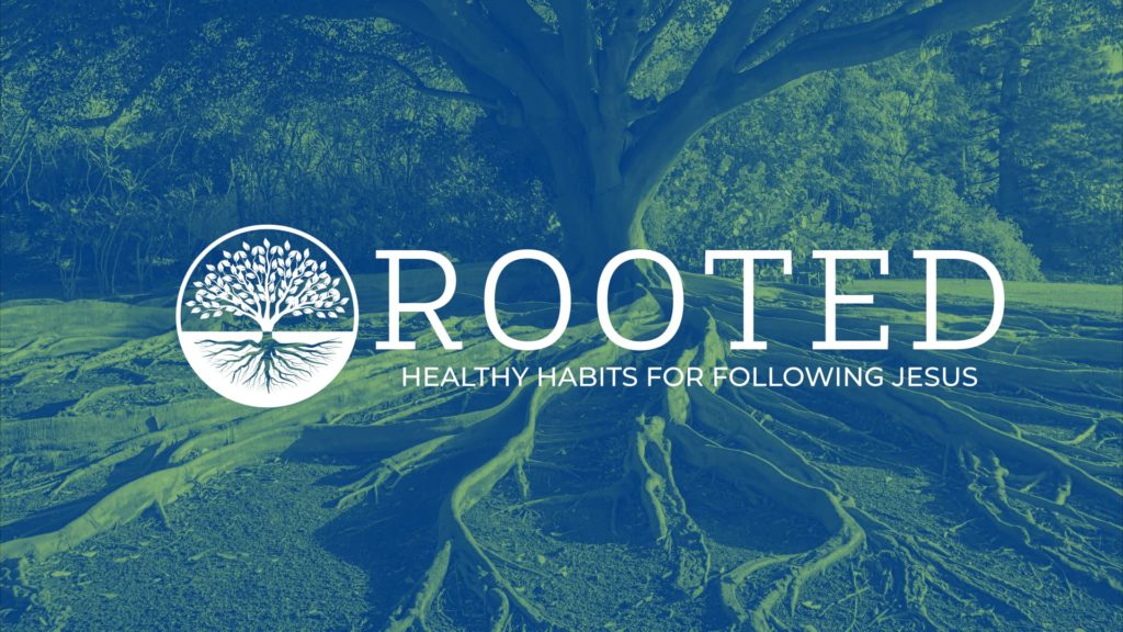 Rooted Week 8