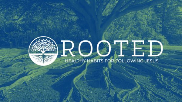 Rooted Week 2 Image